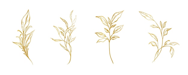 ボタニカル・ゴールデン・セット・オブ・ブランチ 手描きの葉とハーブ ウェディング・インビテーションとカードのロゴ