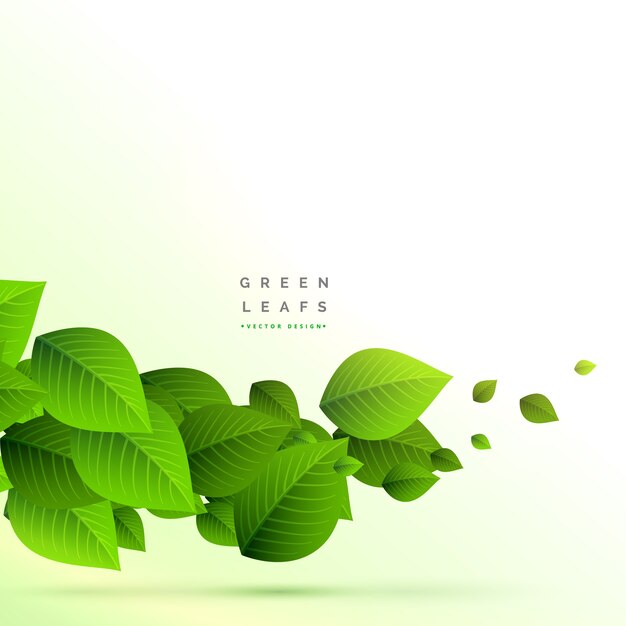 Botanical green leaves design