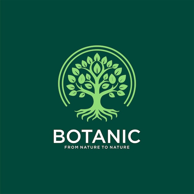 botanical green tree logo design