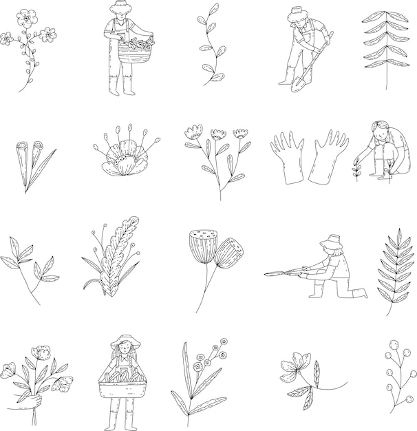 Botanical hand drawn elements illustration