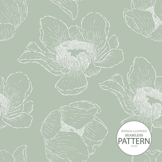 Botanical hand drawn gustavia flower illlustration seamless pattern03