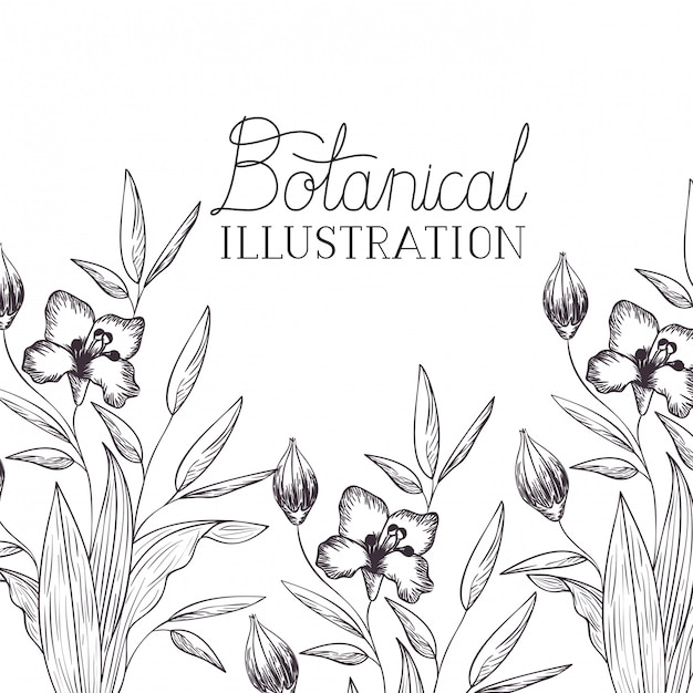 Botanical illustration label with plants