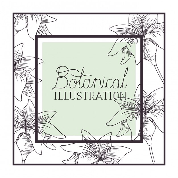 botanical illustration label with plants