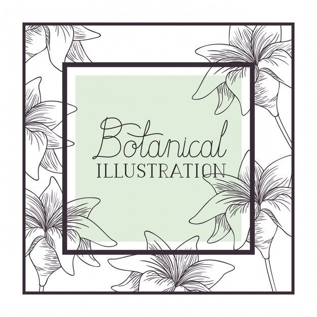 Botanical illustration label with plants