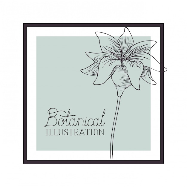 Etichetta illustrazione botanica con piante