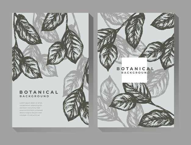 Vector botanical illustration