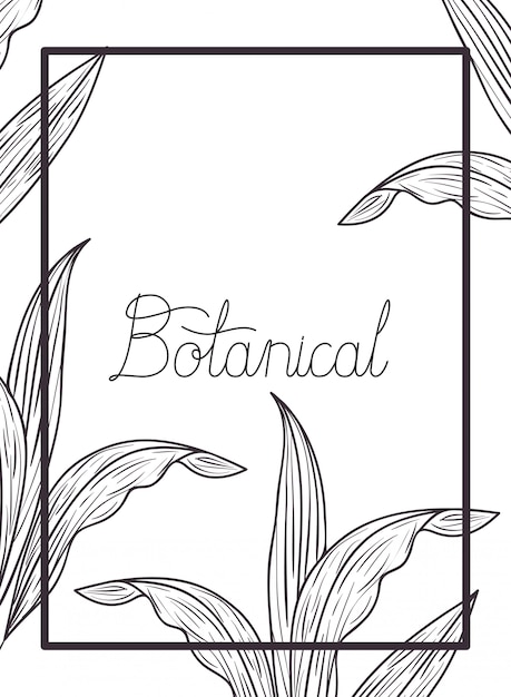 Botanical label with plants isolated icon