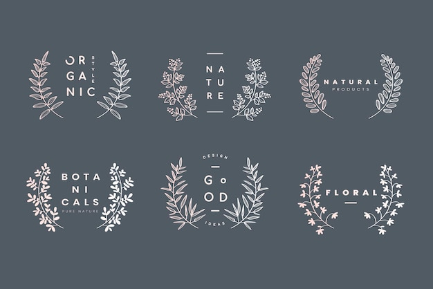 Botanical laurel wreath collection vector