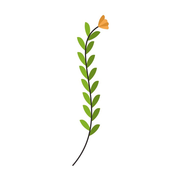 Vector botanical leaf doodle wildflower line art