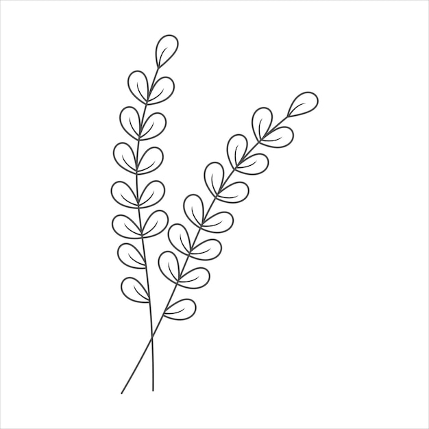 Botanical leaf doodle wildflower line art