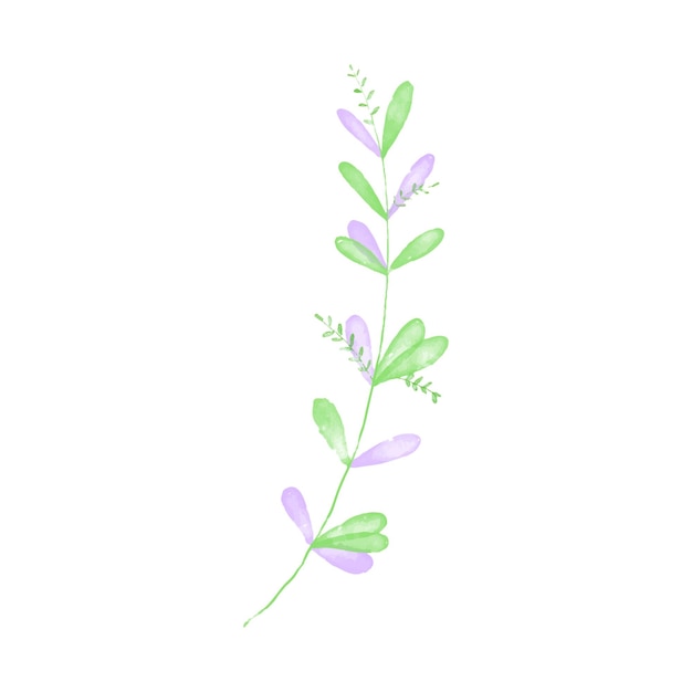 Foglia botanica doodle linea arte di fiori selvatici