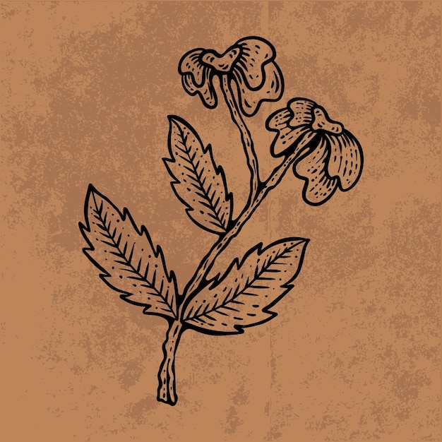 Botanical leaf doodle wildflower line art