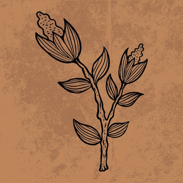 Botanical leaf doodle wildflower line art