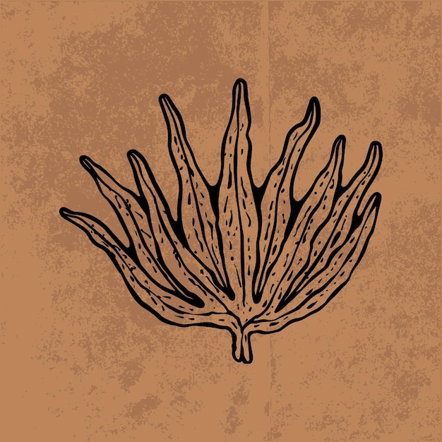 Botanical leaf doodle wildflower line art