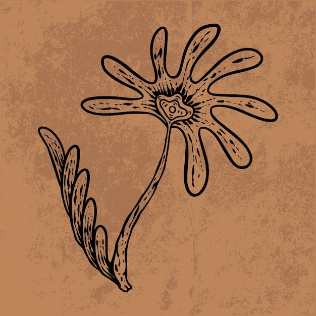 Botanical leaf doodle wildflower line art