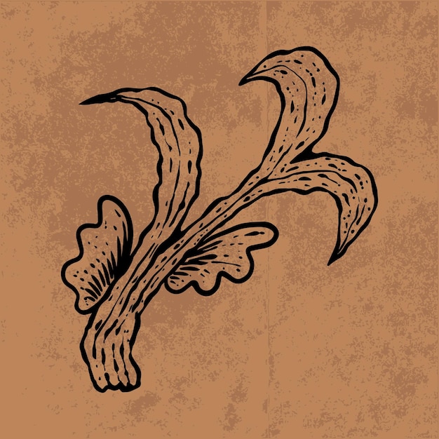 Ботанический лист каракули полевой цветок линии искусства