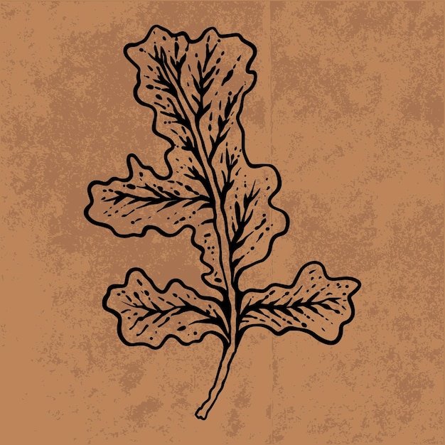 Botanical leaf doodle wildflower line art