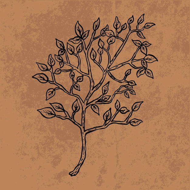 Vector botanical leaf doodle wildflower line art