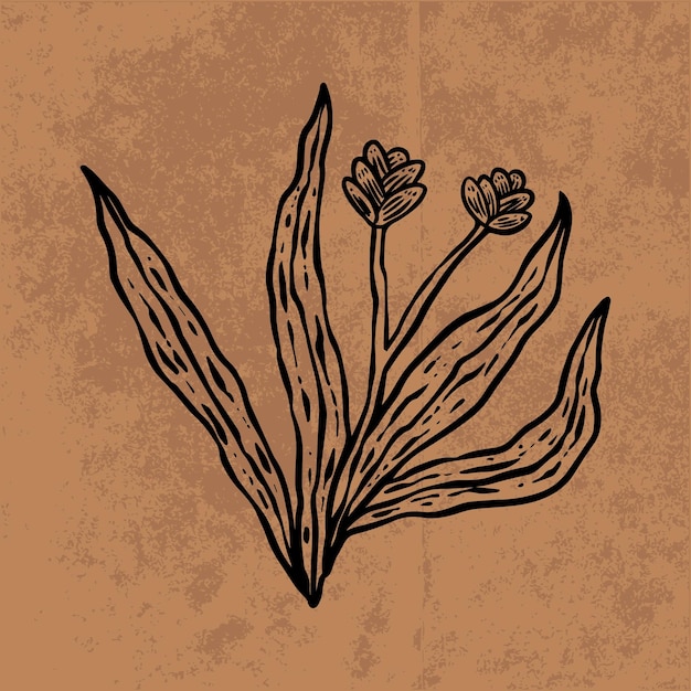 植物の葉落書きワイルドフラワー ライン アート