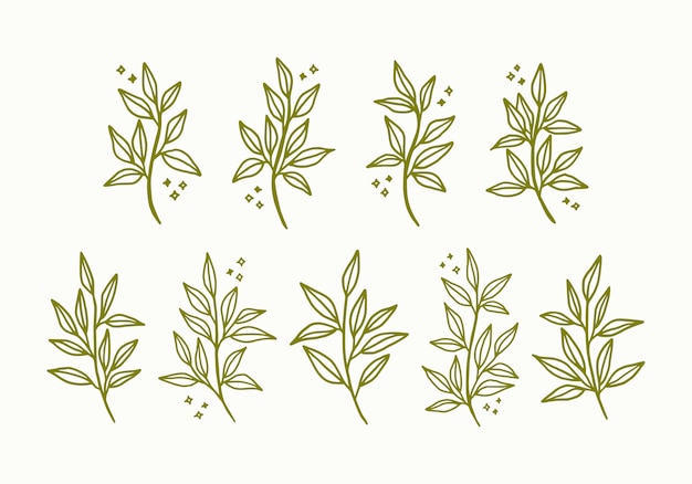 Botanical leaf logo elements