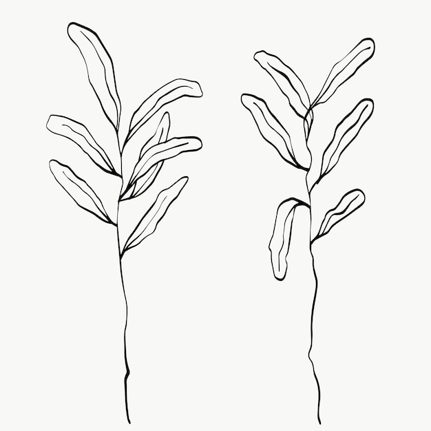 植物の葉の線画。抽象的な現代または最小限の植物のライン。ポスターなどの室内装飾に最適です。ベクトルイラストデザイン。