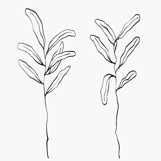 Botanical leaves line art. abstract modern or minimal plants line. perfect for home decor such as posters. vector illustrations design.