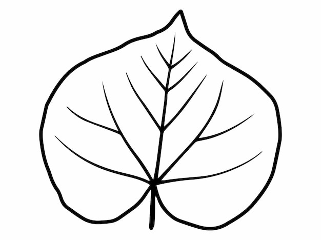 Botanical Leaves Line Art Illustration