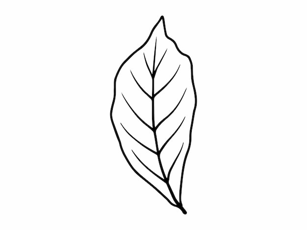 Vector botanical leaves line art illustration