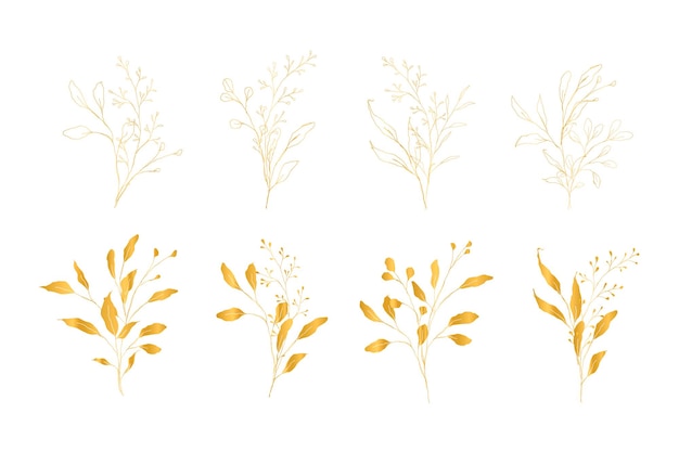 Botanical line art branches and leaves set