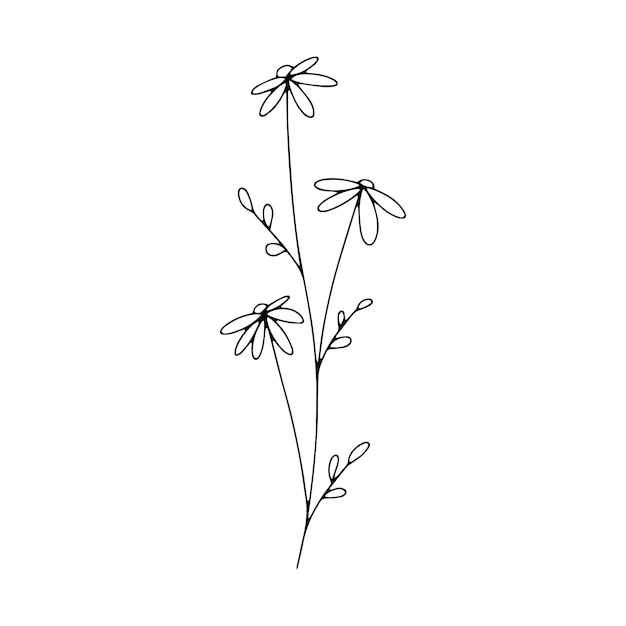 식물 라인 아트 꽃 잎 식물 손으로 그린 스케치 분기 흰색 배경에 고립