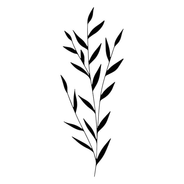 Botanical line art floral leaves plant Hand drawn sketch branch isolated on white background