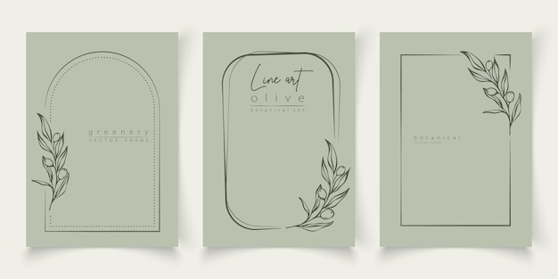 Set di illustrazioni di linea botanica di foglie d'olivo, cornici di rami