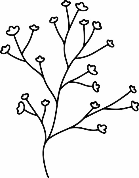 botanical line art