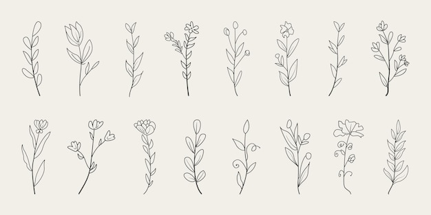 Vettore disegno di linea botanica di ramo floreale e foglie minime.