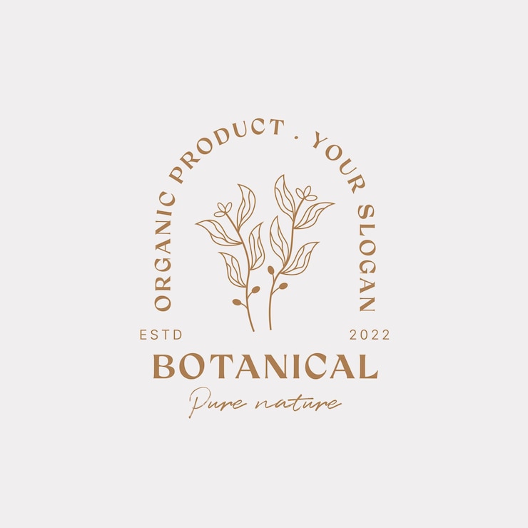 Vector botanical logo design template olive oil floral logo feminine logo beauty logo