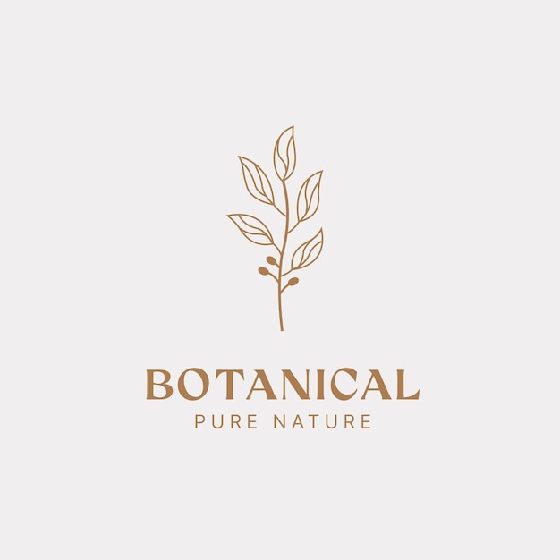 Botanical logo design template olive oil floral logo feminine logo beauty logo