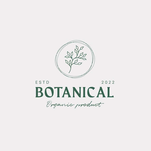 Vector botanical logo design template olive oil floral logo feminine logo beauty logo