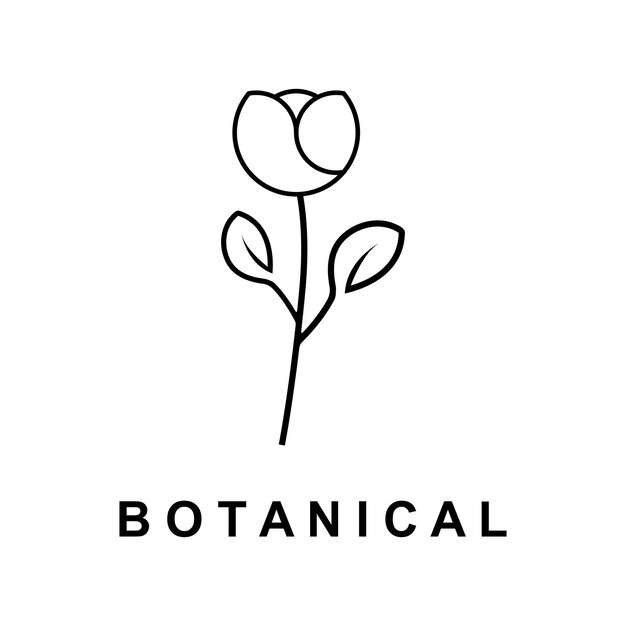 Botanical logo illustration for beauty natural organic brand