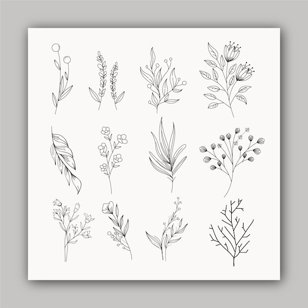 Vector botanical minimal plants and flowers set design