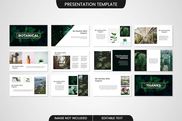 Ботанический минималистичный дизайн шаблона презентации powerpoint