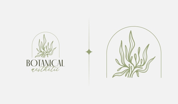 Botanical plant flower monoline line art line drawing universal creative premium symbol vector illustration creative minimal design template