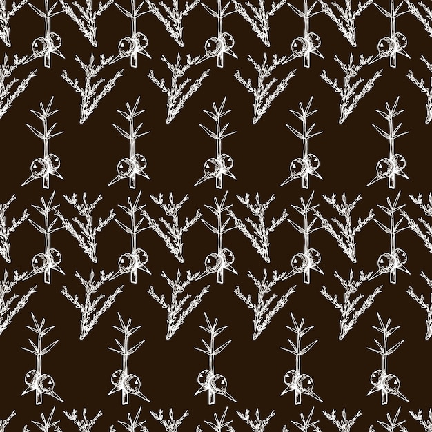 빈티지 스타일의 식물 원활한 패턴 고사리 콘 말꼬리 창포의 다양한 잎 엉겅퀴 밀 잔디 홀리 벡터 조각 흑백 그림