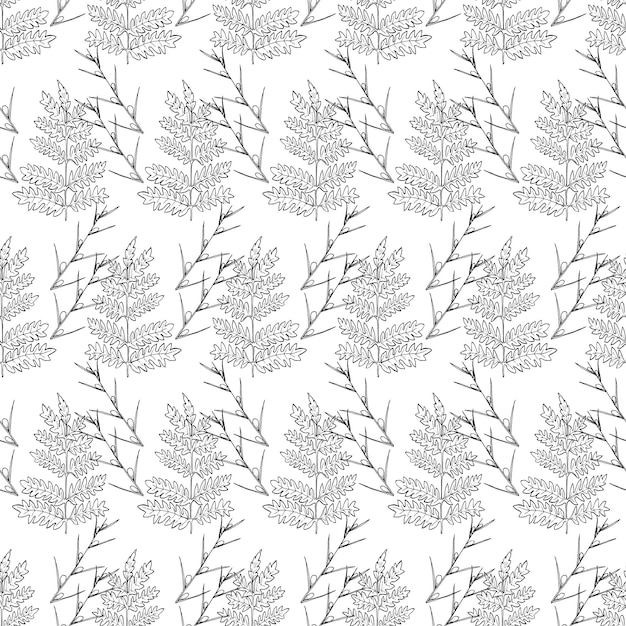 Botanical seamless pattern in vintage style various leaves of ferns cones horsetail calamus sow thistle wheat grass holly vector engraving black and white illustration