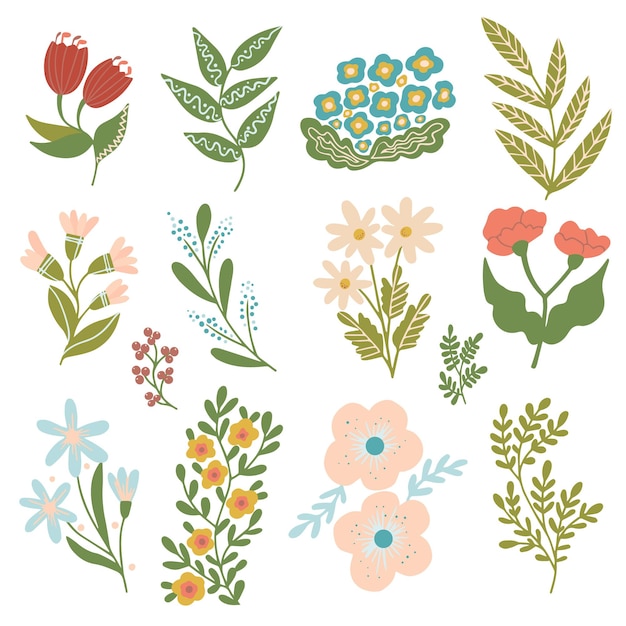 Vector botanical set of flowers and branches of plants.