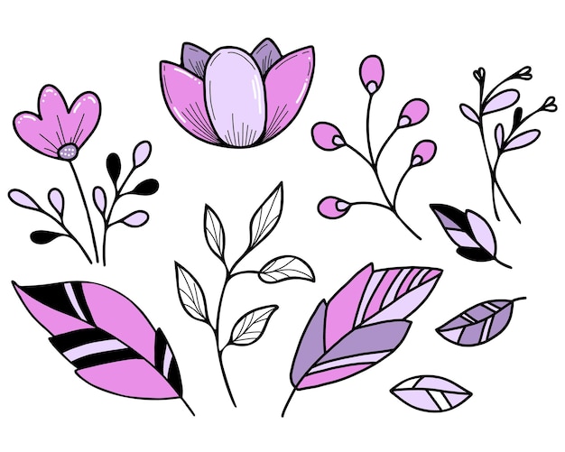 Botanical set Flowers and leaves lotus and plant branch Vector Isolated hand drawings