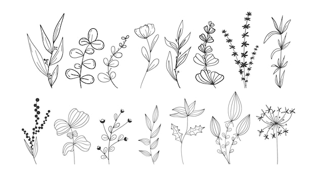 Vector botanical set linear doodle style isolated background minimalistic plant branches