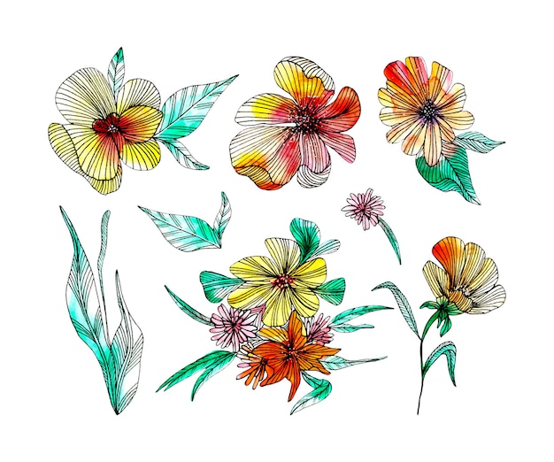 Botanical set with stylized liner flowers and leavesGraphic and watercolor floral illustrations