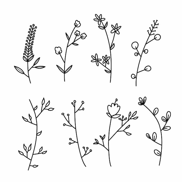 Botanical sketch illustration set