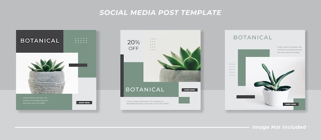 Botanical social media post template