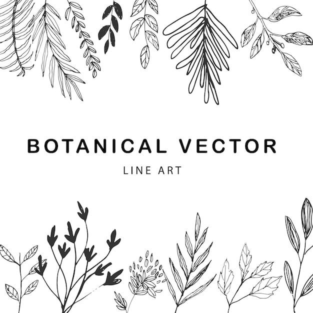 botanical vector background line art leaves